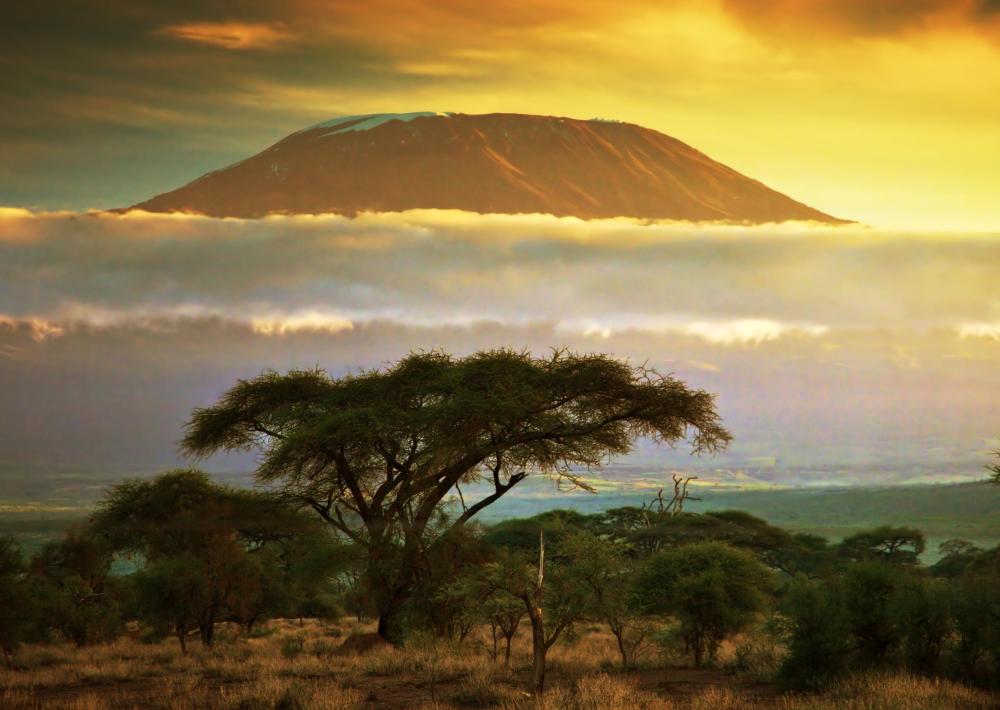 Tanzania produces coffee, usually sold as Tanzanian Peaberry.