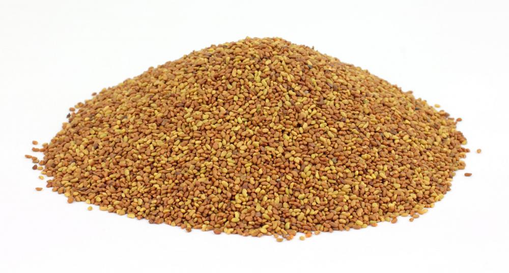 Alfalfa seeds can be sprouted.