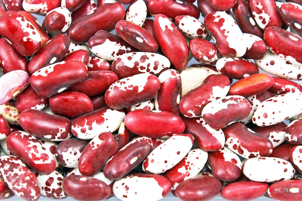 Anasazi beans, mild, sweet-flavored beans often used in Latin American and Southwestern dishes.