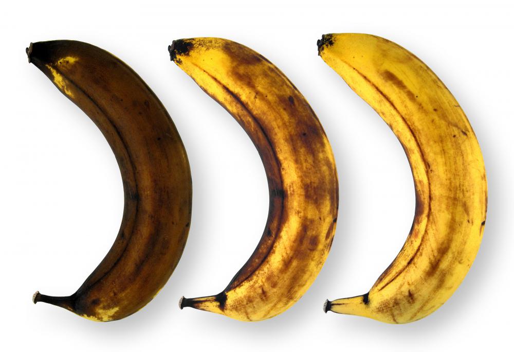 Bananas at various stages of ripeness.