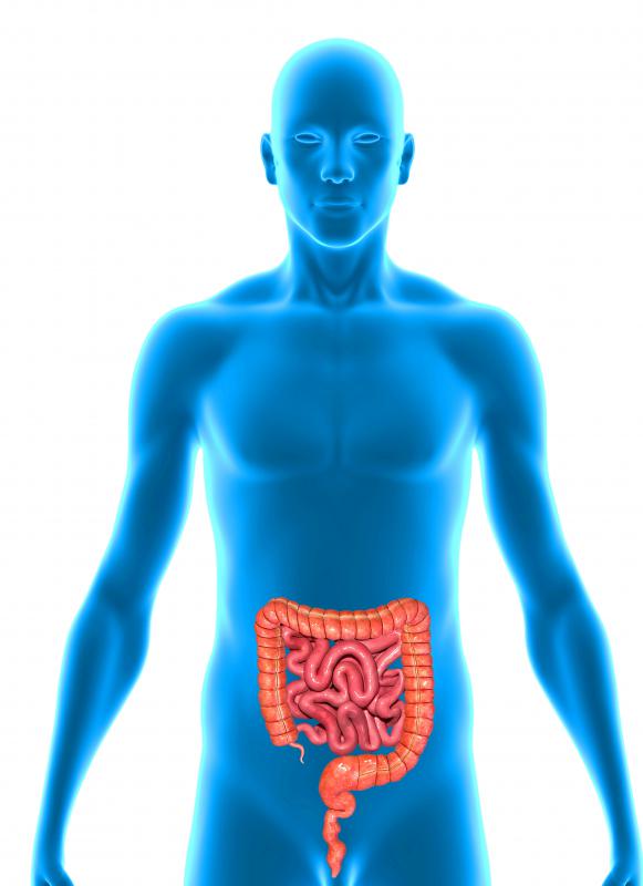 Vichy water has been used to treat issues with the intestinal tract.