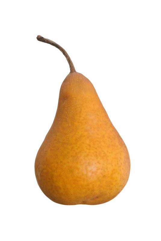 Bosc pear.