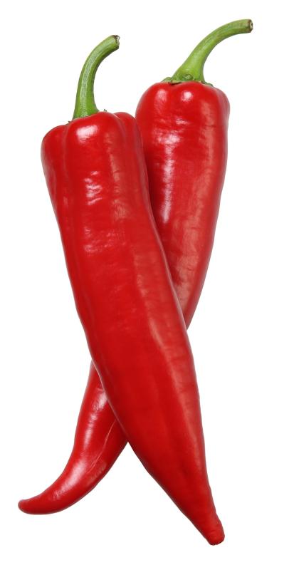Chili peppers.