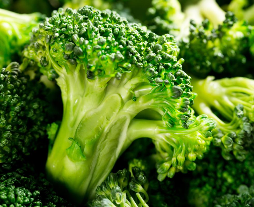 Imitation cheese may be featured with a cheese sauce over broccoli.