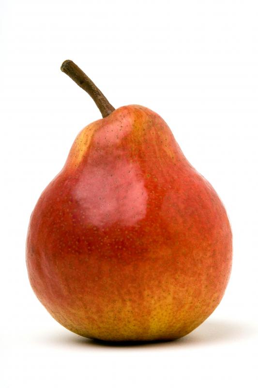 Pears are often pureed to be used as a dessert.