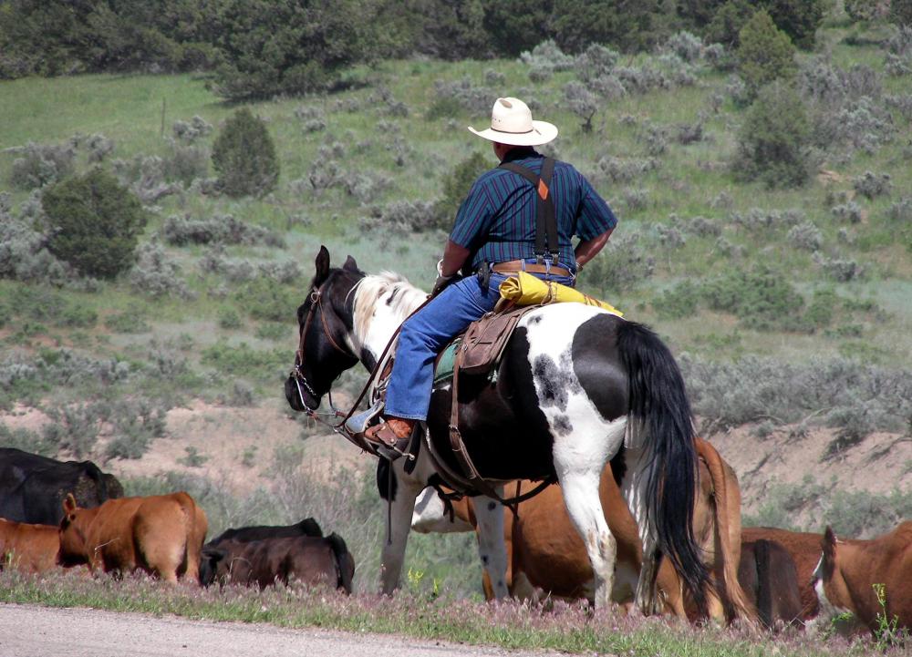 The tough cut of beef used to make fajitas is typically all the ranch hands along the Rio Grande could afford.