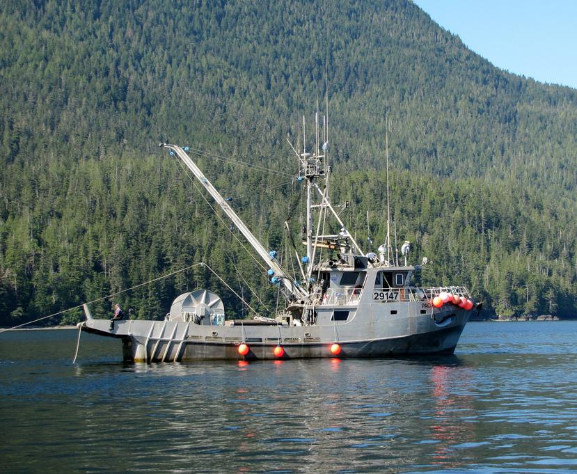 Fishing boats often use flash freezing to preserve their catch.