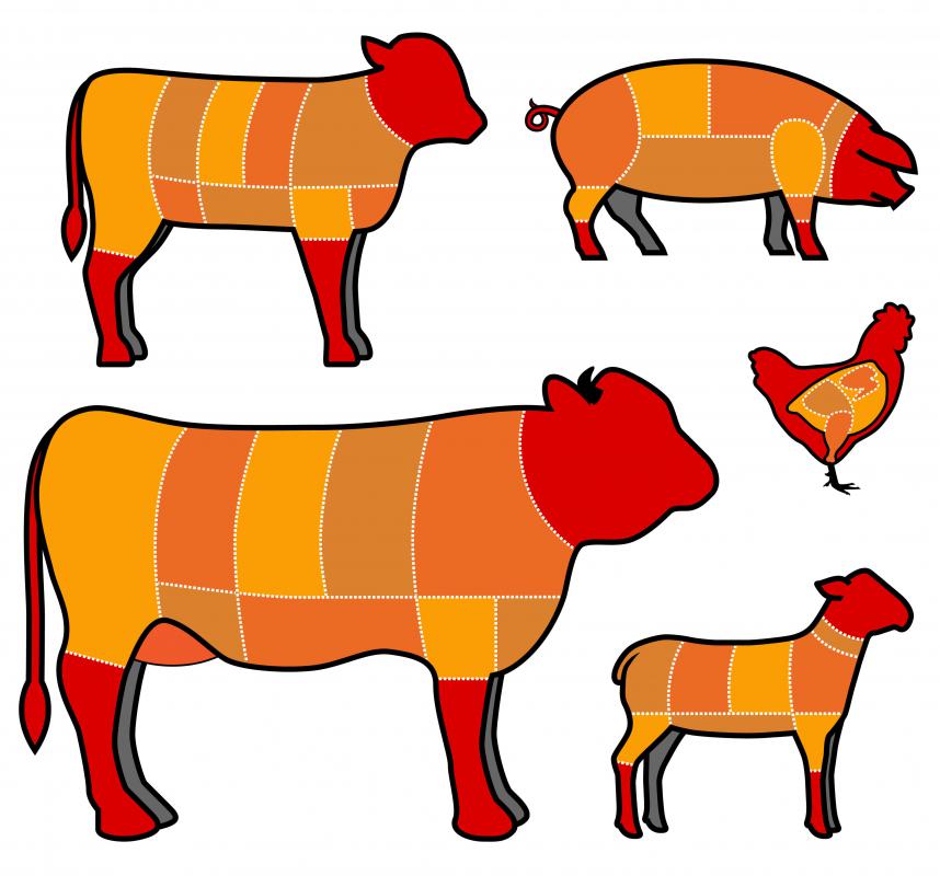 A beef shank comes from the cow's leg.