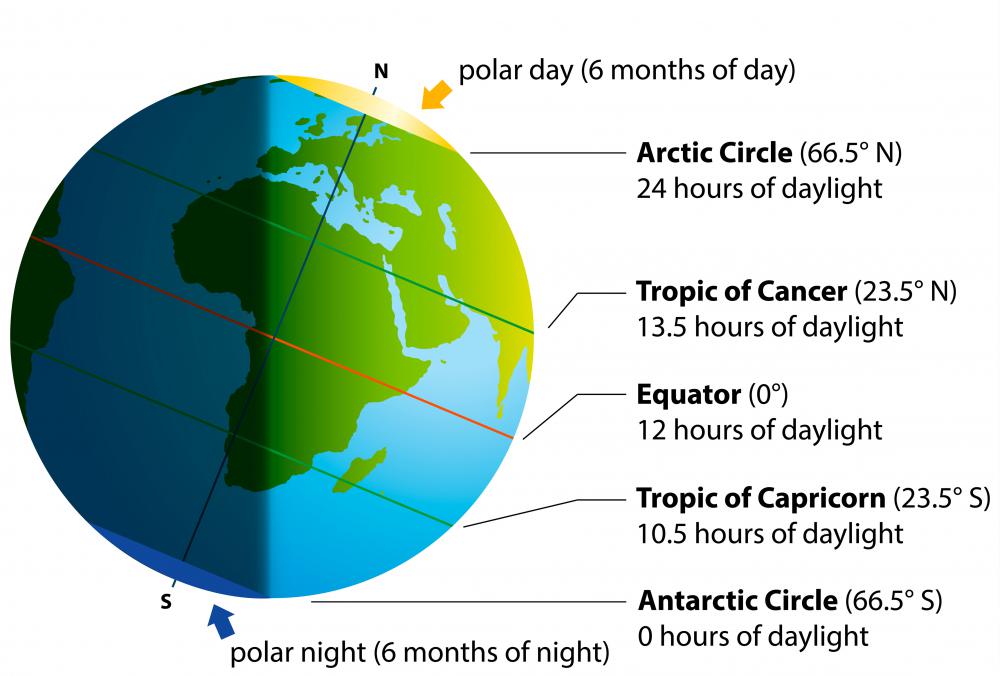 Tropical fruit is grown on trees that are native to any area between the tropic of cancer and tropic of capricorn.