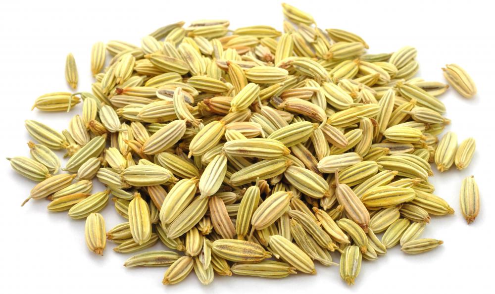 Fennel seeds are an important ingredient in pan masala.