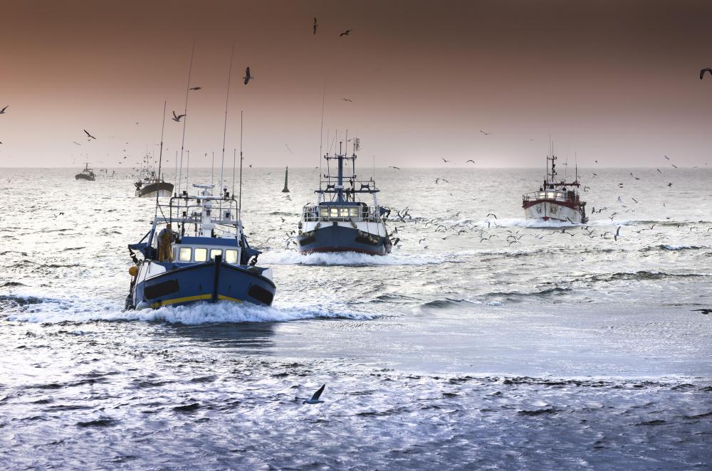 The northeastern US coast and eastern Canada are home to many commercial scallop fishing operations.