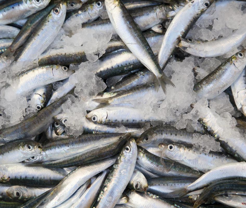 Sardine forks are made specially for serving sardines.