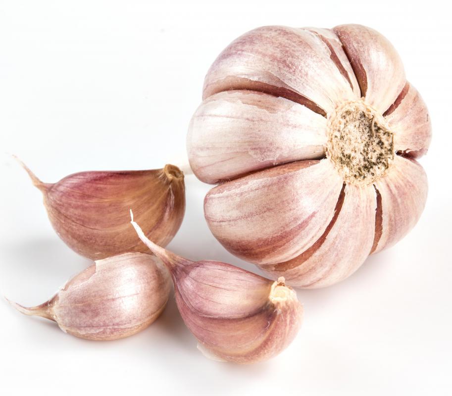 Marinara sauce generally has quite a bit of garlic.
