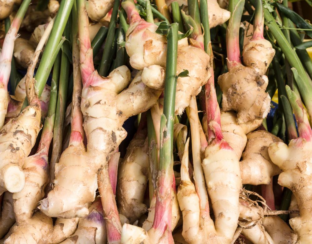 Ginger is technically a rhizome.