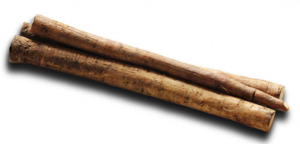 Trimmed gobo, or burdock, root.