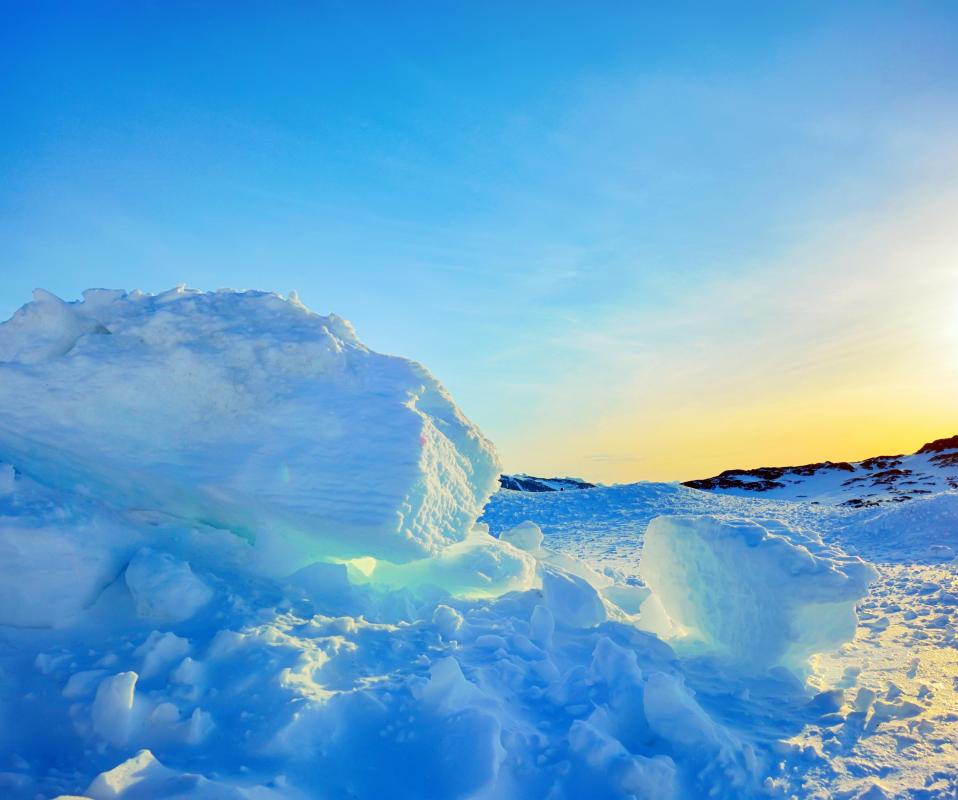 Inuit people living in Northern Greenland dine on kiviak.