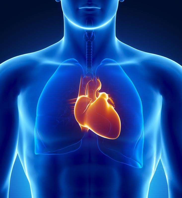 Theobromine is a stimulant that can cause the heart to beat more rapidly.