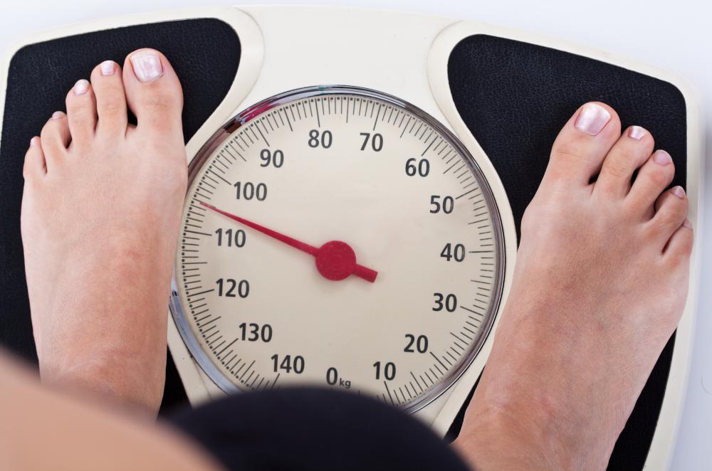 Rice protein may be helpful for people trying to lose weight.