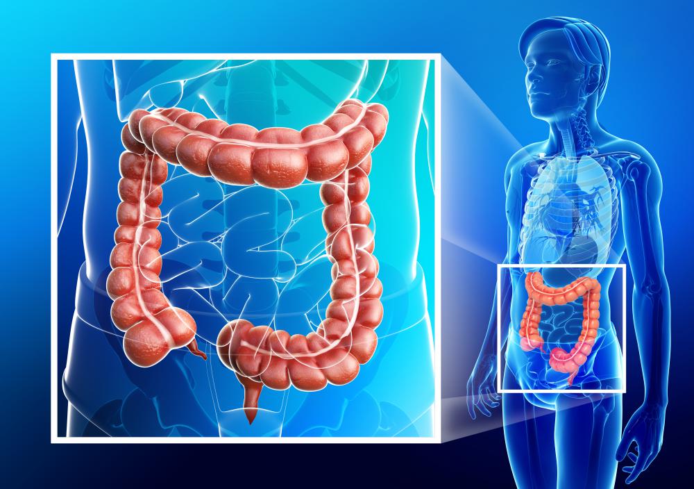 Beans cause gas when oligosaccharide, a sugar that usually goes undigested, enters the large intestine.