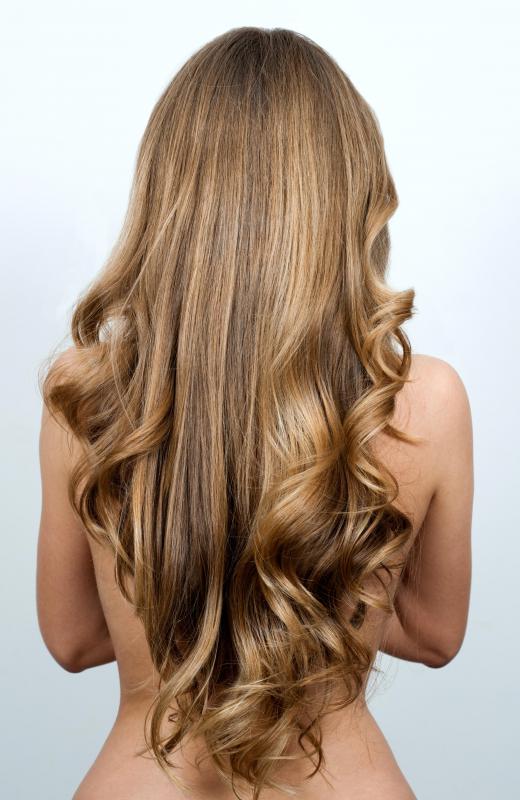 Sweet oil may be used as a hair treatment.