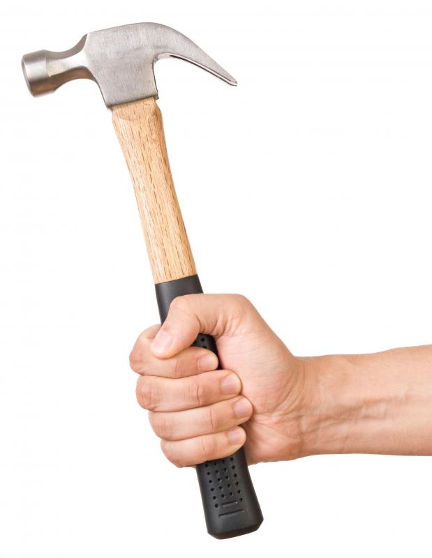 Avocado pits may be broken up with a hammer before eaten.