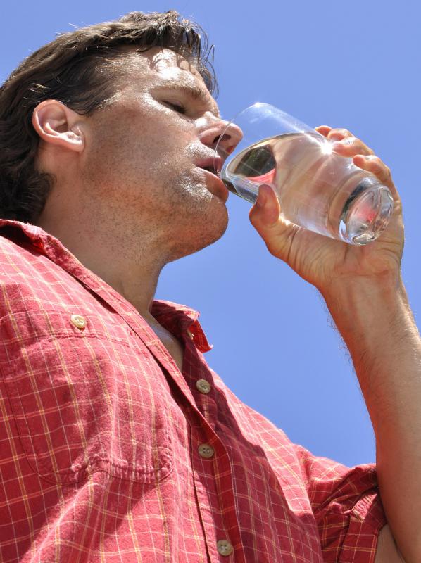 Carbonated seltzer water bubbles can make a drink more interesting than plain water but don't add calories.