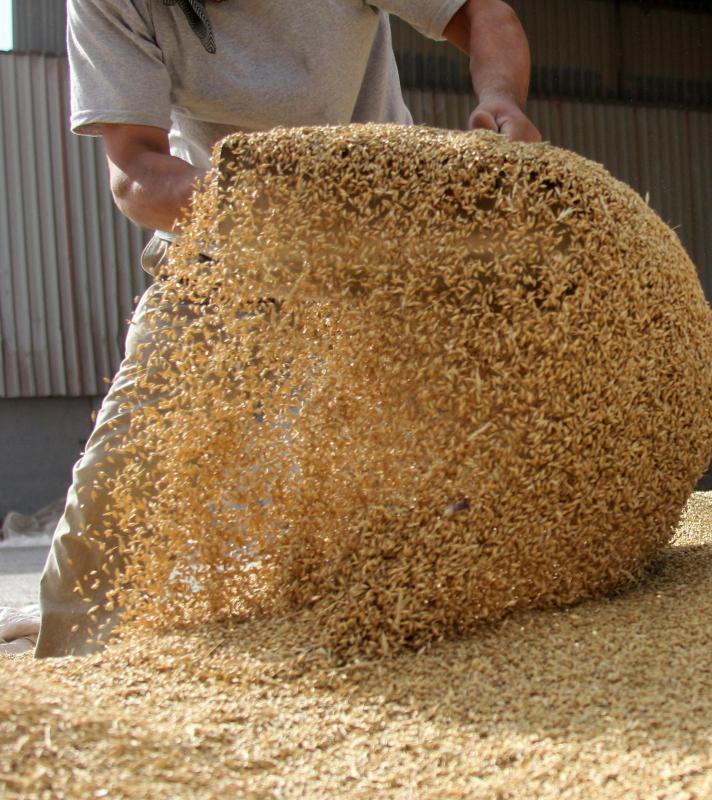 Some cattle feed incorporates soybeans.
