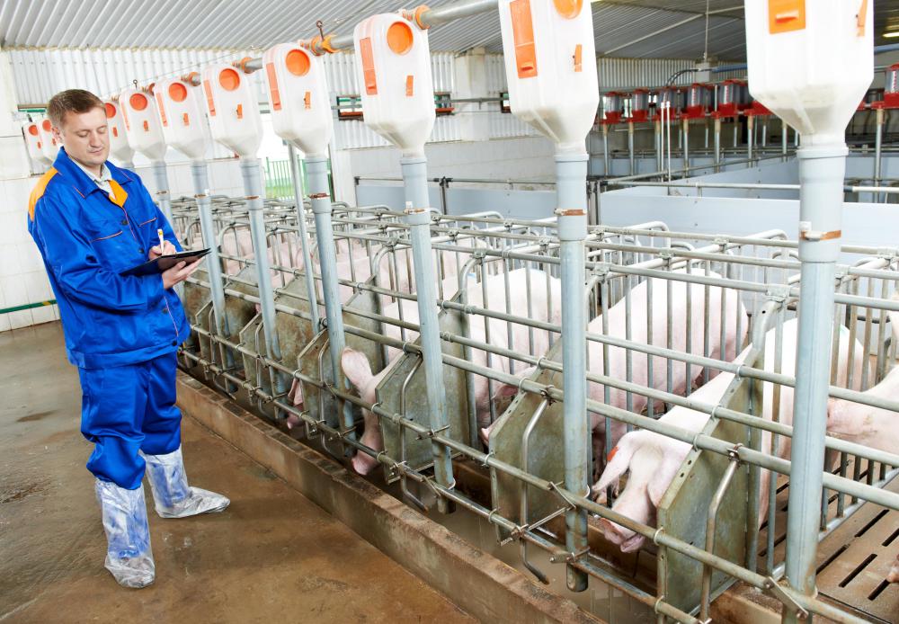 The USDA uses inspections to monitor how food is produced.