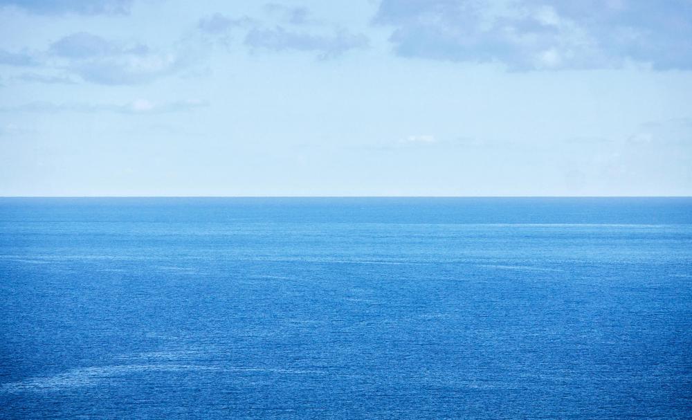 Mahi-mahhi are capable of swimming great distances in the open ocean.