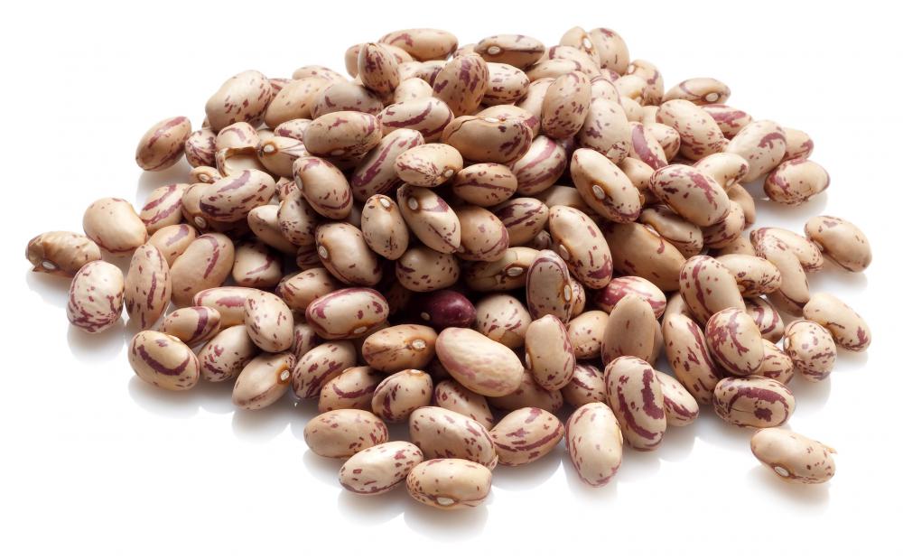 Beans, a type of legume.