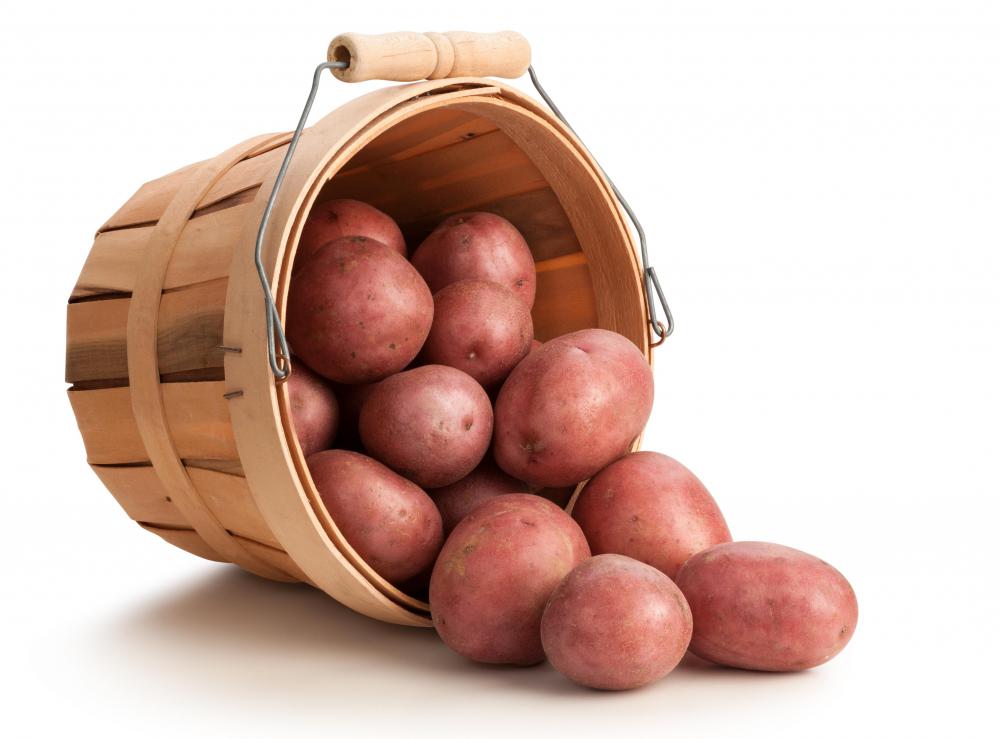 Red potatoes have red skins and are sometimes called summer potatoes.