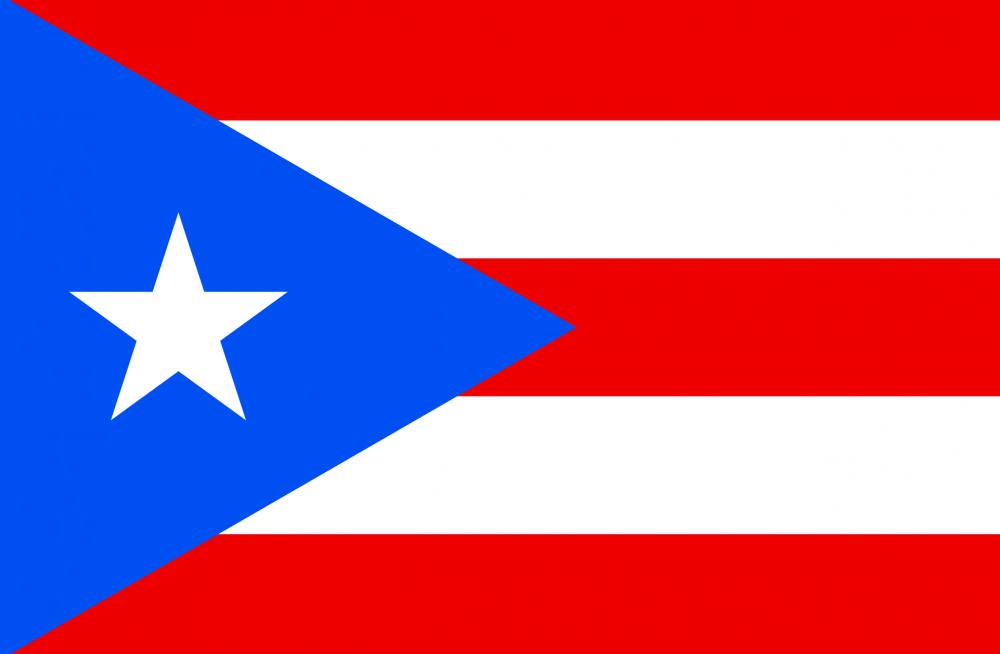 Puerto Rico is a major exporter of hearts of palm.