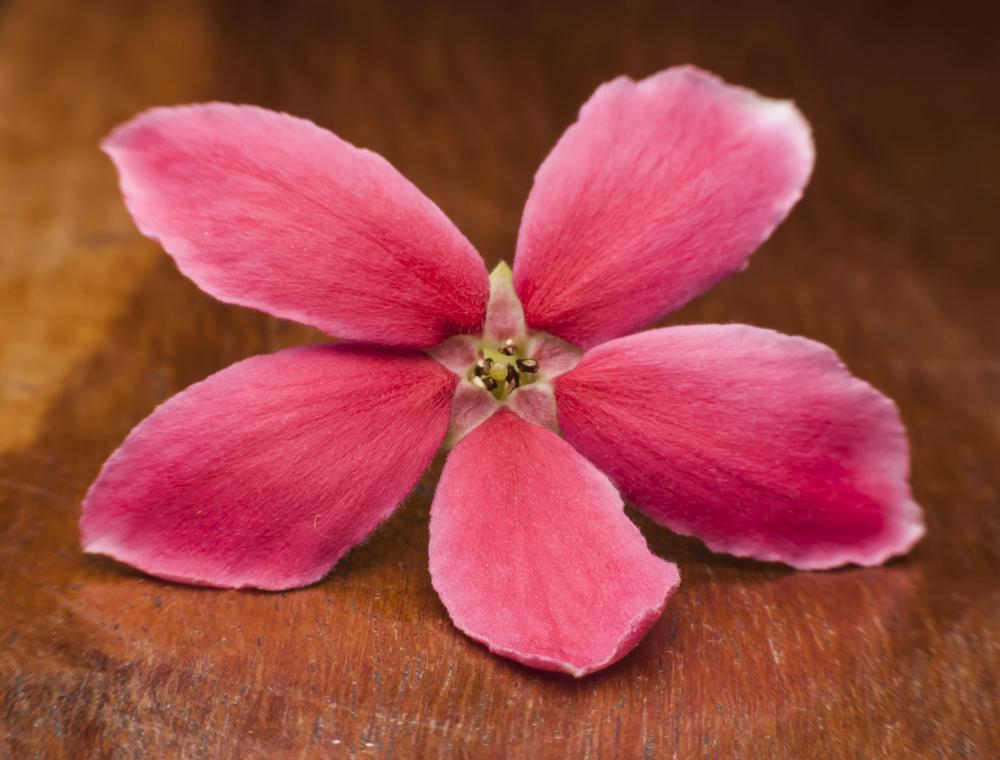 The health benefits of jasmine in tea have not be verified.