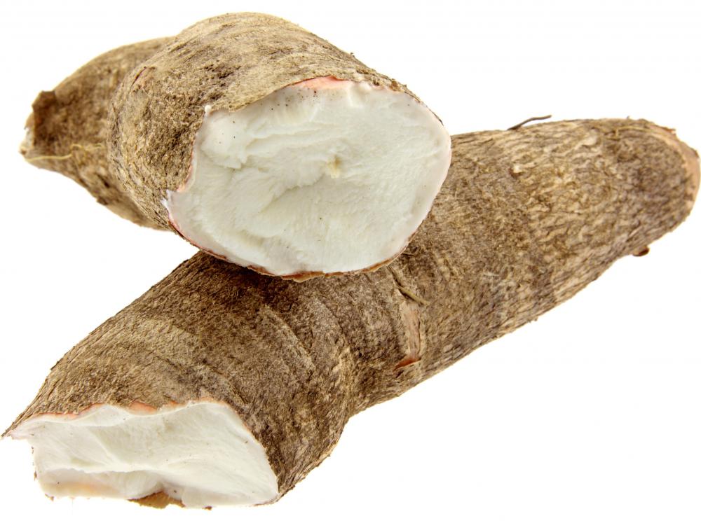 Cassava is a tuberous root vegetable.