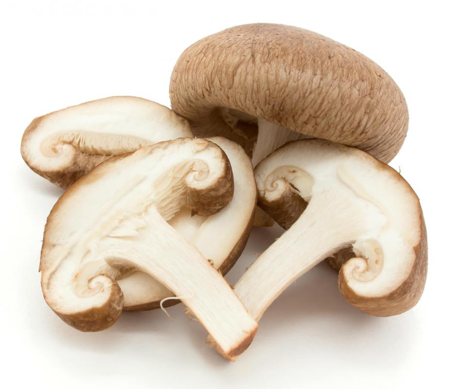 Mushrooms can make a good vegetarian filling for ravioli.
