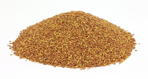 Alfalfa seeds can be sprouted.