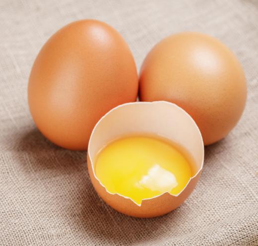 Poultry plants might make an income selling eggs.