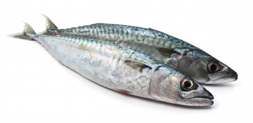 Mackerel is commonly used to make sashimi.
