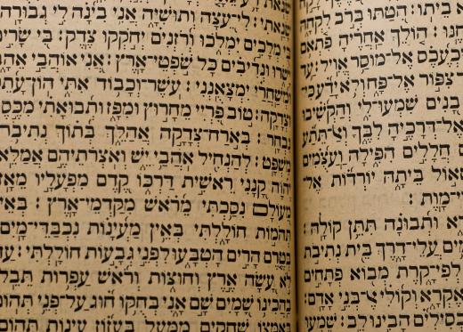 Some believe that Sabitch is derived from a combination of the Hebrew words for salad, Salat; egg plant, or Baytzim and egg, Chatizilim.