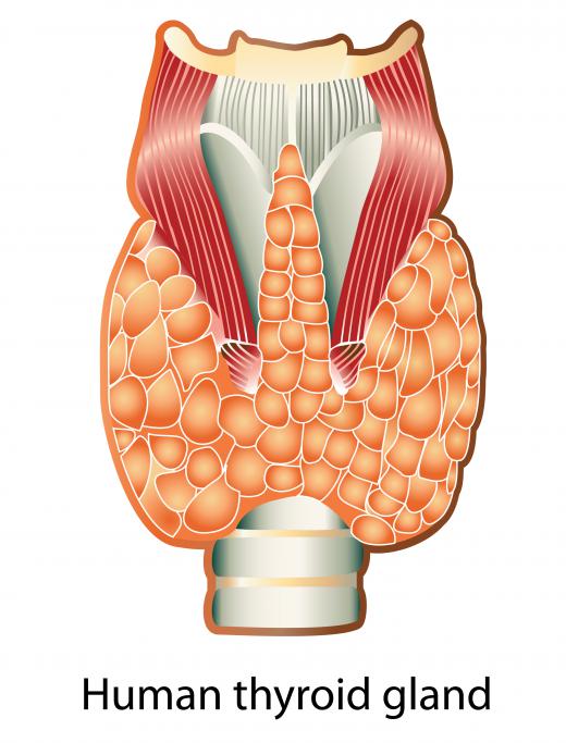 An iodine deficiency can affect the functioning of the thyroid gland, which produces hormones that regulate blood pressure, body temperature, heart rate, and the body's metabolism.