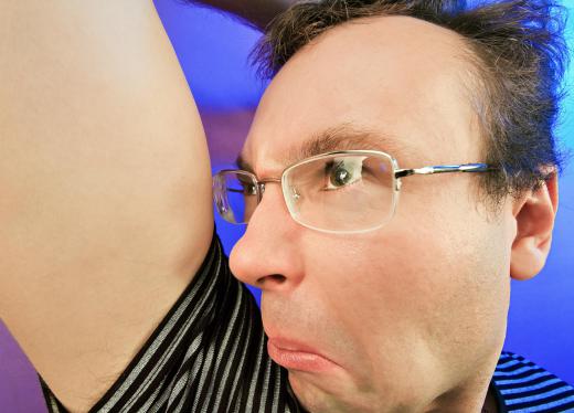 Limburger is fermented with the same bacteria responsible for human body odor.