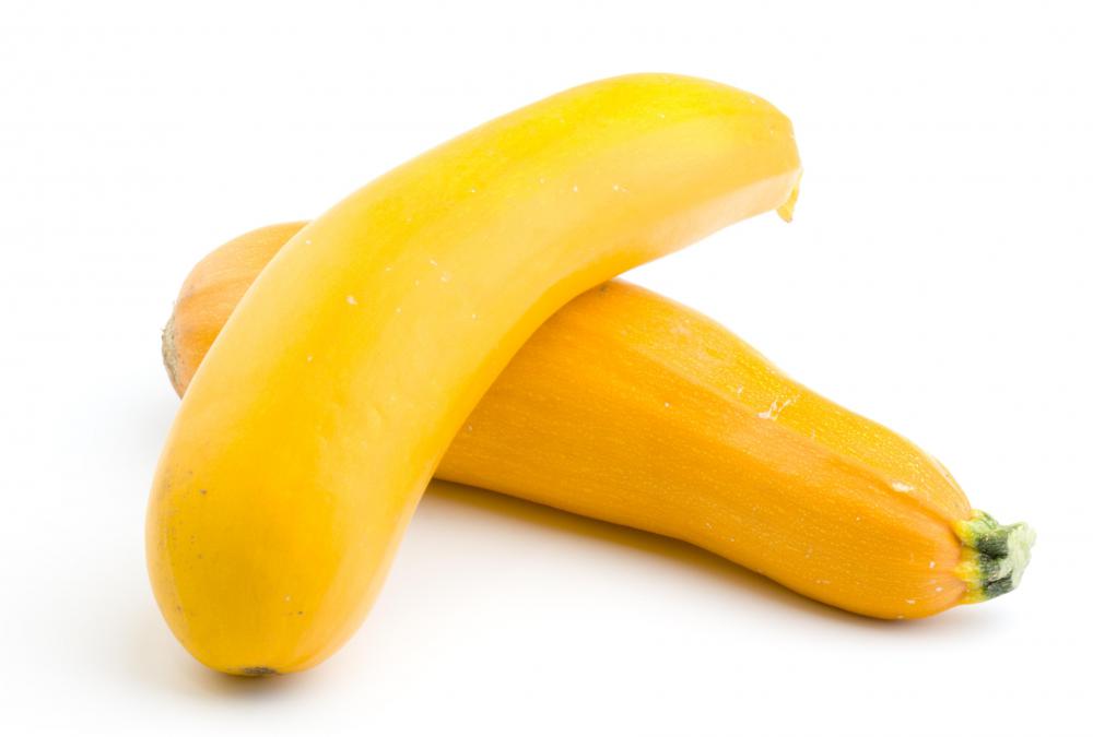 Yellow or summer squash are courgettes.