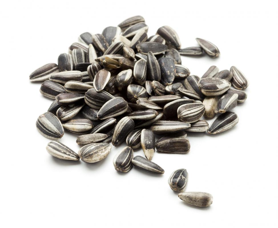 Sunflower seeds may be included in gorp.