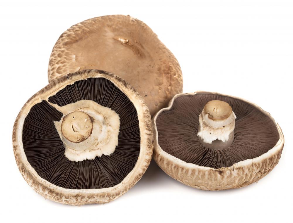 Sauces featuring mushrooms are popular when served with chateaubriand.