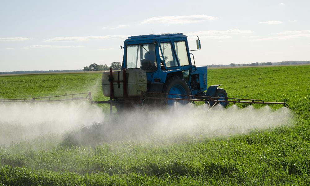 Organic rye meal is grown without using chemical pesticides or fertilizers.