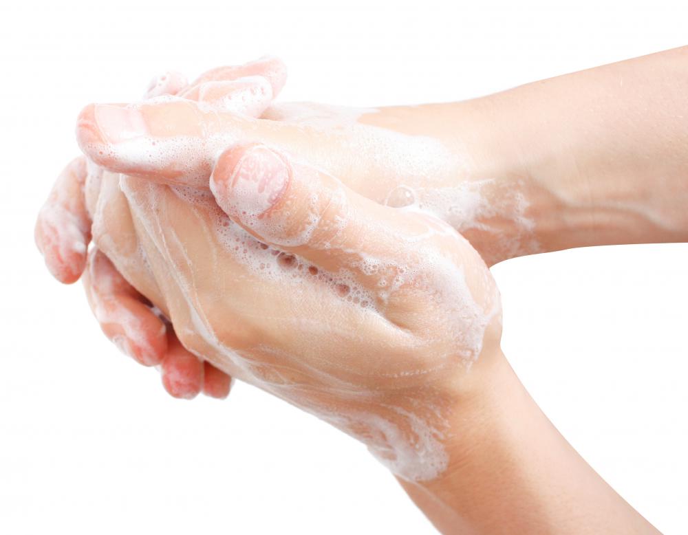 Hands should be thoroughly washed before handling food.