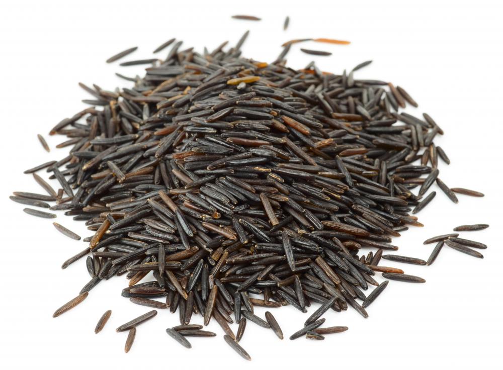 Close up of dried wild rice.