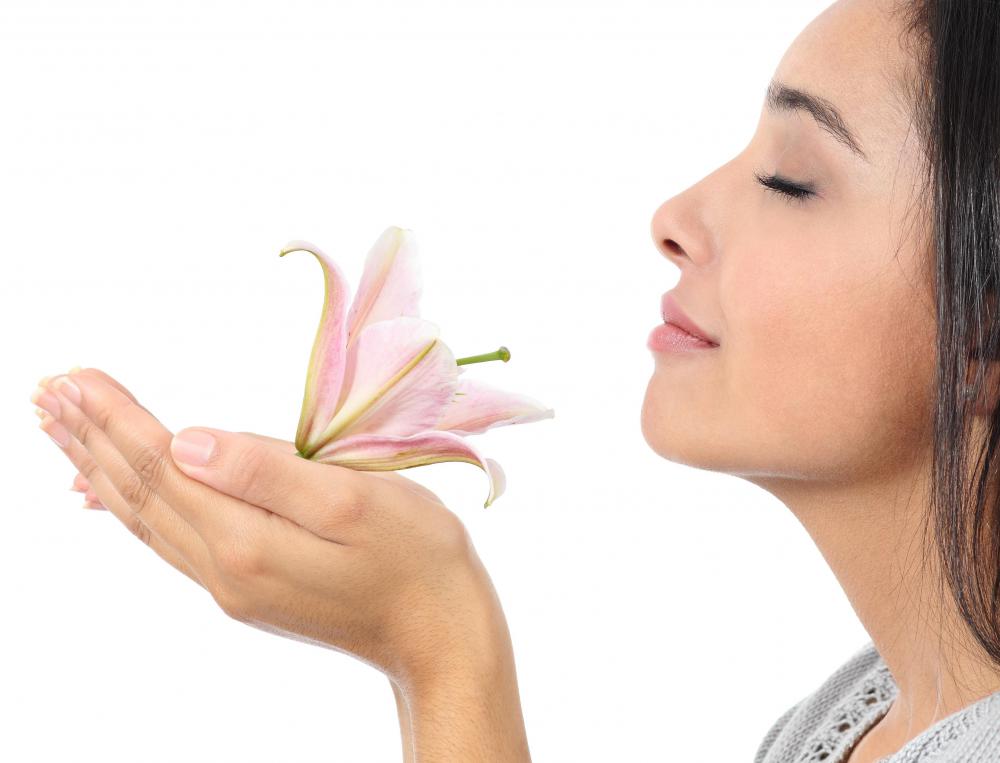 Smell can affect the sense of taste.