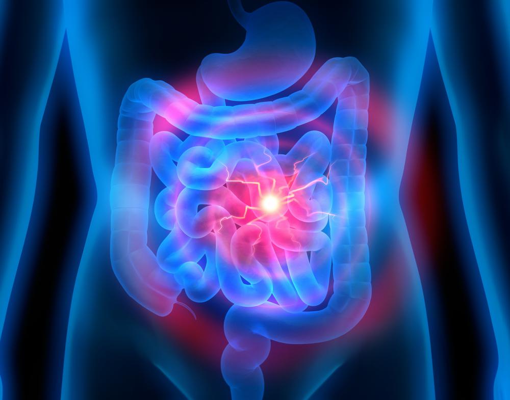 A biopsy can be taken of the small intestines to confirm a gluten intolerance.