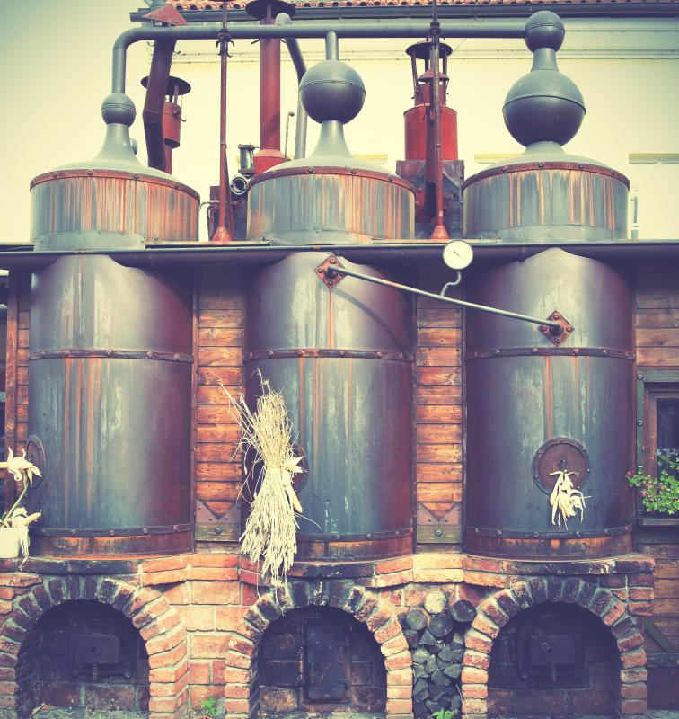 What is Bock Beer? (with pictures)